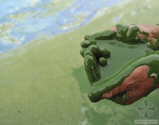 中國水污染問題很嚴(yán)重 帶您簡(jiǎn)單看幾個(gè)案例 中國水污染問題很嚴(yán)重 帶您簡(jiǎn)單看幾個(gè)案例